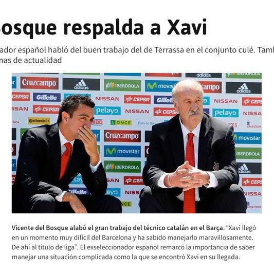 vicente del bosque